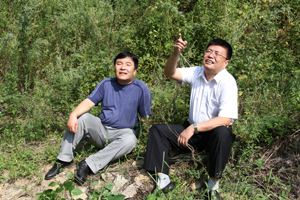 闫国华（右）向同事讲解树木的生长规律.jpg