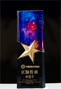 荣誉人物奖杯刘康宁.png
