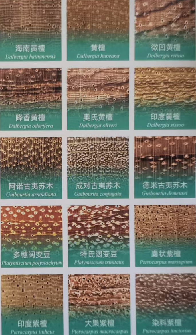 微信图片_20250908132135_488_68.jpg